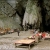 HANOI - SAPA - PERFUME PAGODA - NINH BINH - HALONG - HANOI