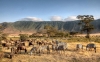 DU LỊCH TRUNG ĐÔNG & SAFARI CHÂU PHI