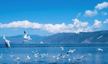 (Seri Charter DR) CÔN MINH - KIỆU TỬ TUYẾT SƠN 2026