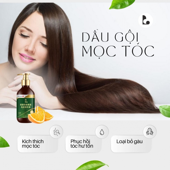 Dầu gội mọc tóc, sạch gàu - Phạm Hường
