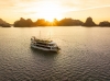 Otis Premium Cruise pics