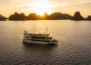 Otis Premium Cruise pics
