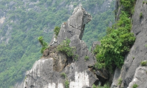 HALONG 1 DAY AMAZING ROUTE - TITOP