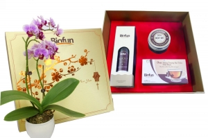 Hộp quà tết cao cấp Đông Trùng Hạ Thảo Biofun 01
